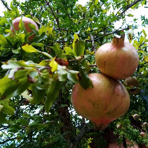 Herbst ist angekommen!
